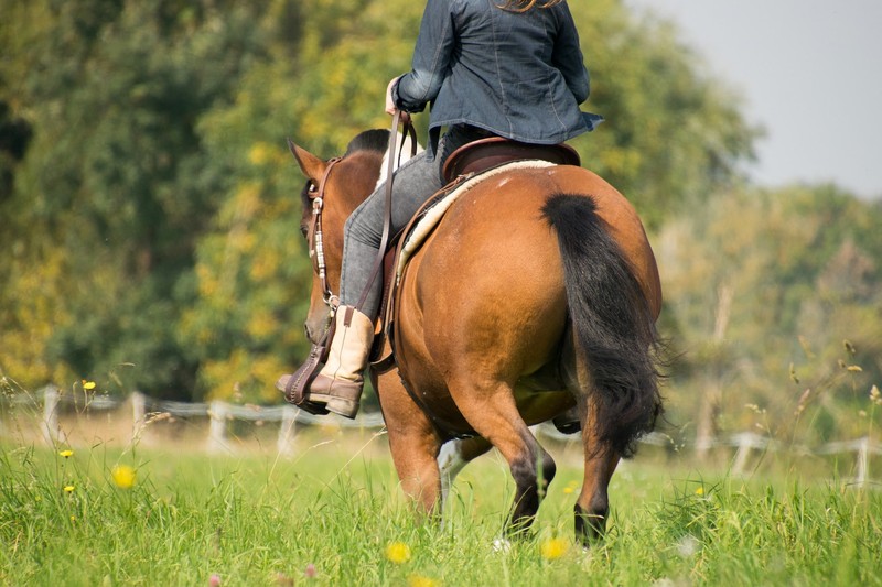 Essential Equestrian Wear and Horse Tack for Every Rider