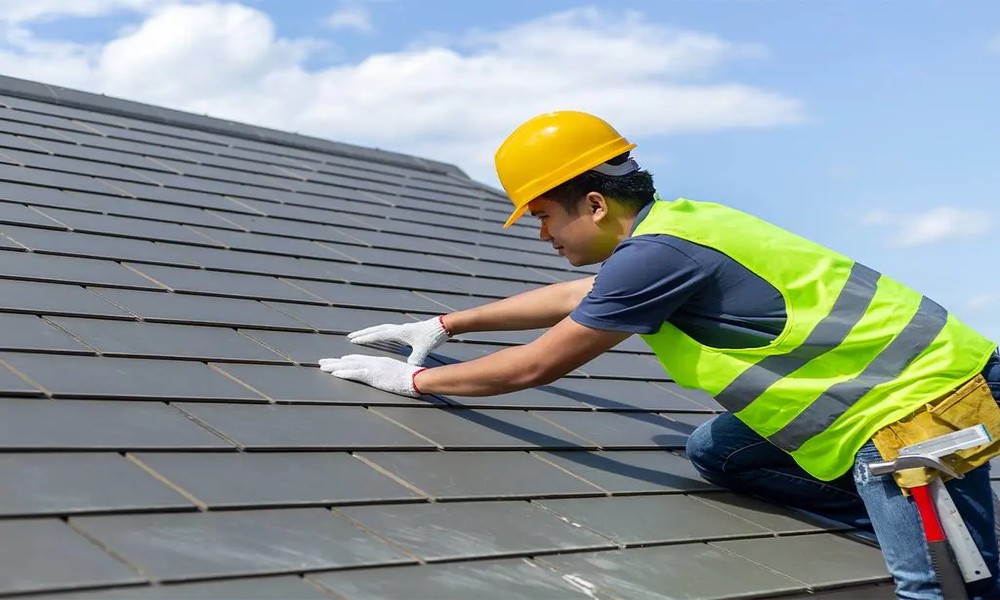The Key Components Involved in Professional Roof Replacement Projects